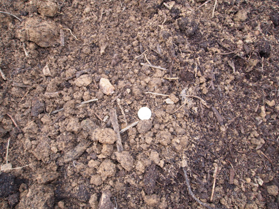 Remblais à proximité de BEAUVAIS - CHAMBLY - MERU - GISORS - CLERMONT - BRETEUIL - GOUSSAINVILLE - PONTOISE - CREIL